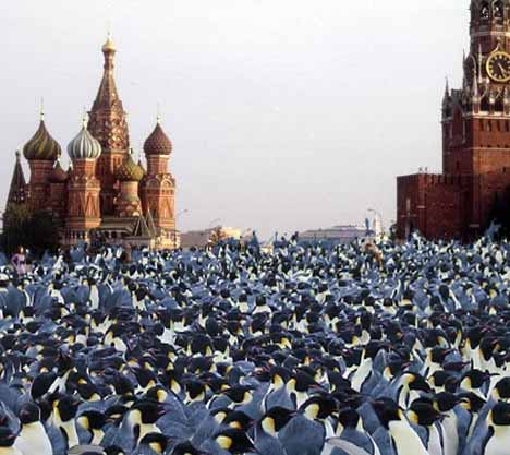 Performance masiva de Daniel Rojo en La Plaza Roja de Mosc&uacute; 