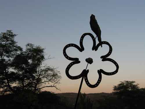 flor, fernando, pedrizas